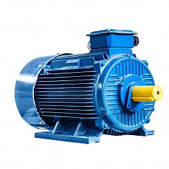 Электродвигатель 5АИ 355 LC4 450/1500 IM1001