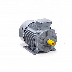 Электродвигатель ESQ PR 250 S2 GST-Б1-S12-IE2 76/3000 IM1001