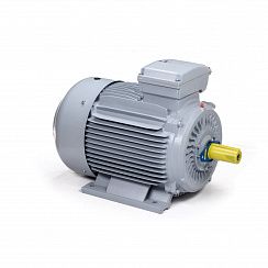 Электродвигатель ESQ PR 355 MВ2-SDN-Б1-S12-IE3 315/3000 IMB3